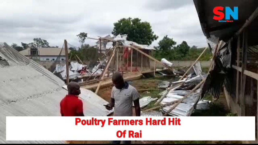 Poultry Farmers Hard Hit Of Rainstorm At Dormaa Yaakrom